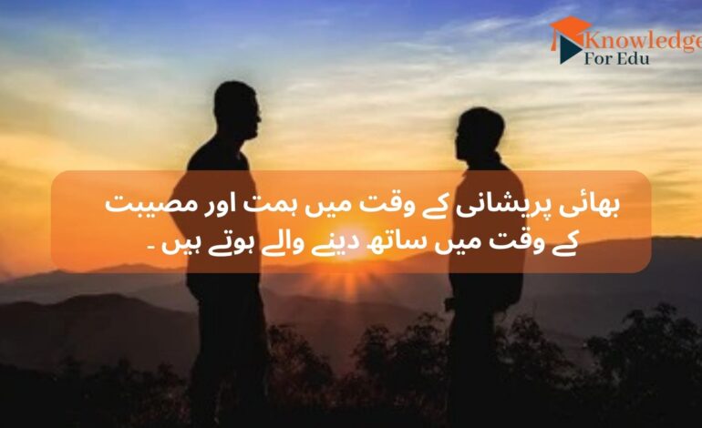 Brother Quotes in Urdu